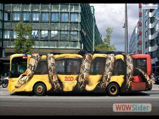 zoo-advertising-bus